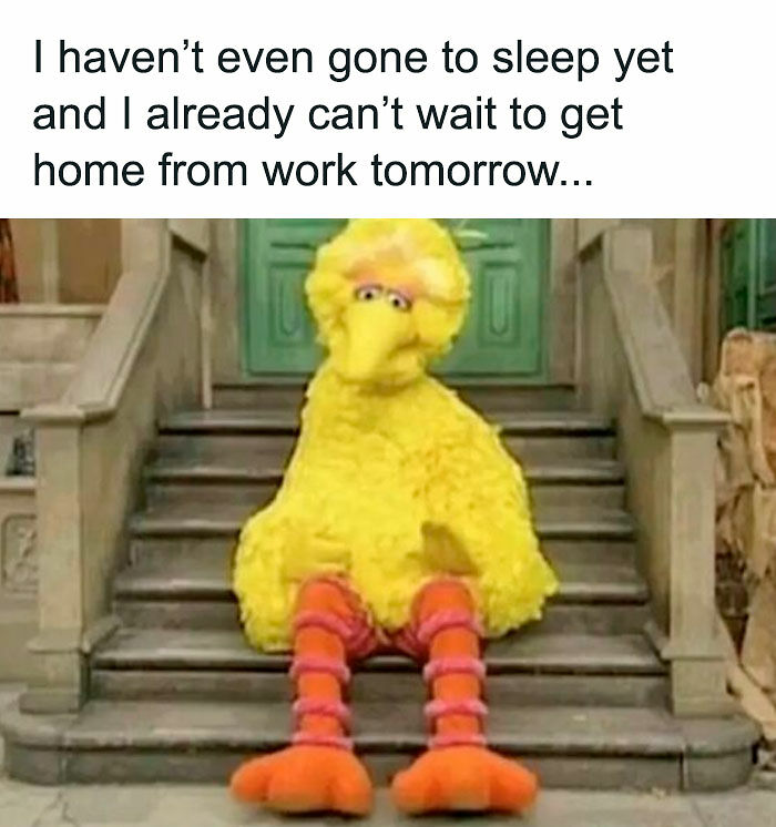 Need A Laugh? These 96 Hilarious Memes Are Here To Save Your Day (New Pics)