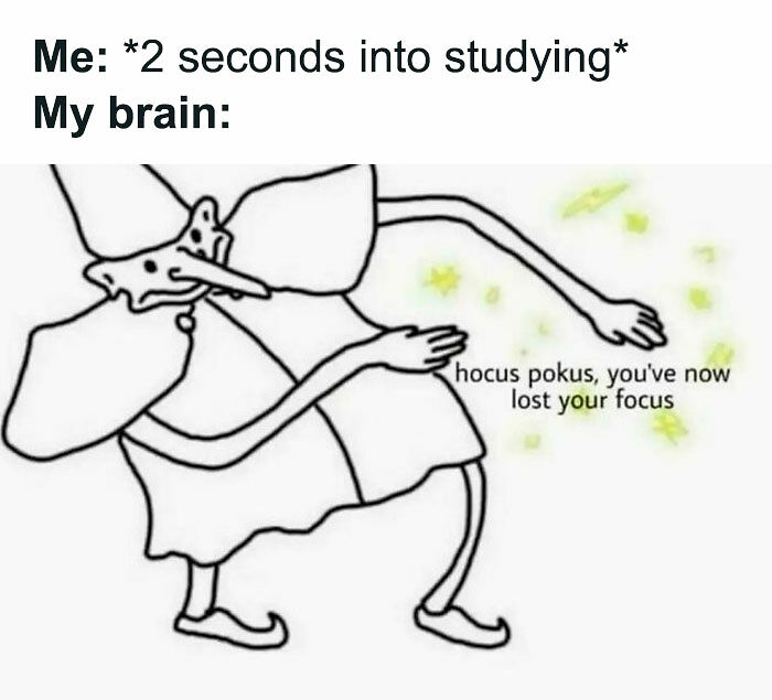Need A Laugh? These 96 Hilarious Memes Are Here To Save Your Day (New Pics)
