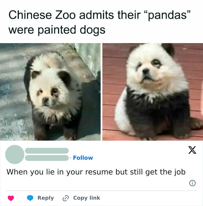 Need A Laugh? These 96 Hilarious Memes Are Here To Save Your Day (New Pics)
