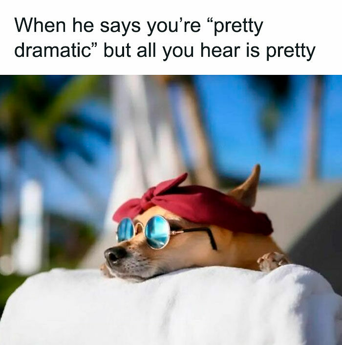 Need A Laugh? These 96 Hilarious Memes Are Here To Save Your Day (New Pics)