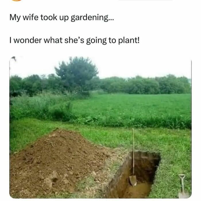 Need A Laugh? These 96 Hilarious Memes Are Here To Save Your Day (New Pics)