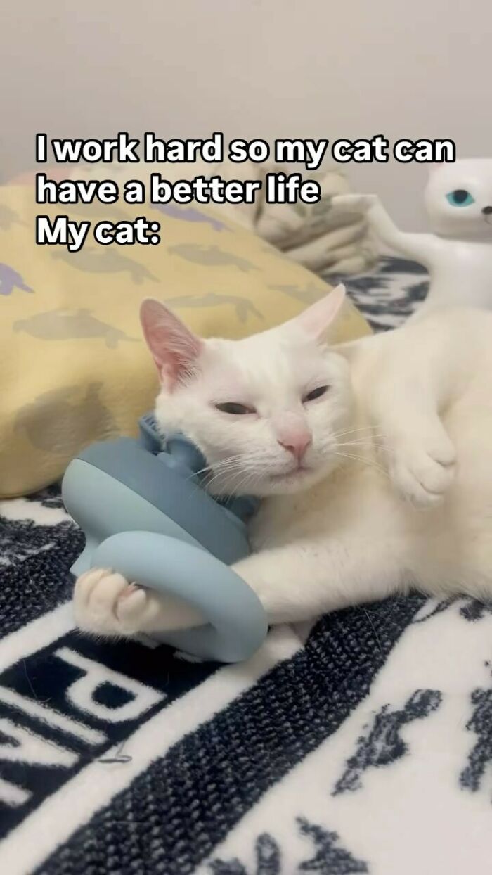 Need A Laugh? These 96 Hilarious Memes Are Here To Save Your Day (New Pics)