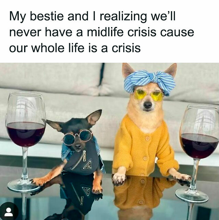 Need A Laugh? These 96 Hilarious Memes Are Here To Save Your Day (New Pics)