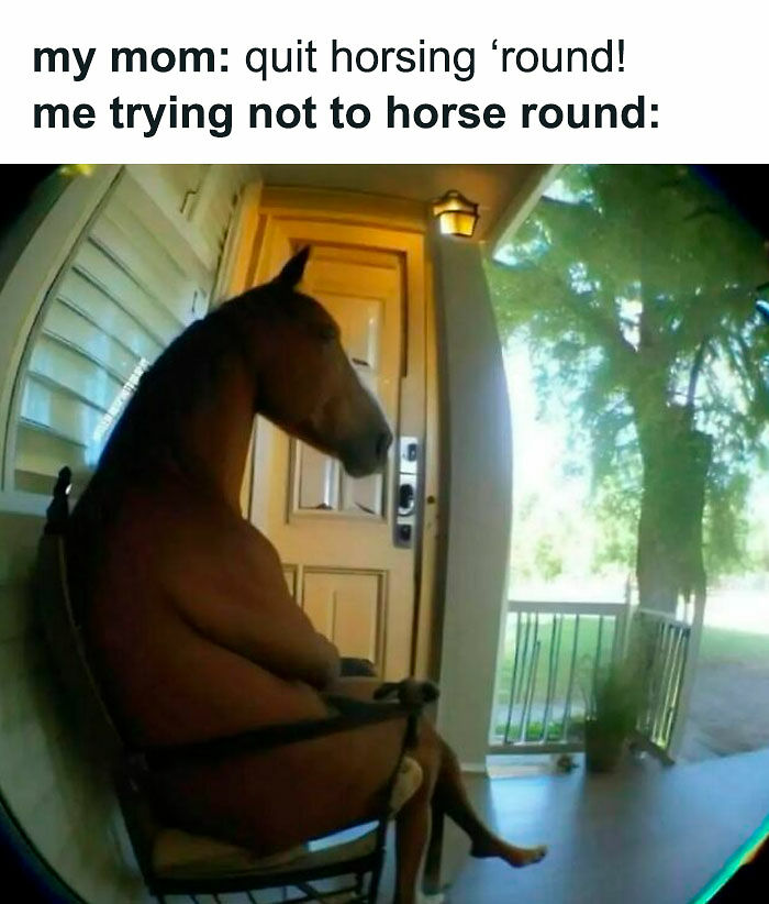 Need A Laugh? These 96 Hilarious Memes Are Here To Save Your Day (New Pics)