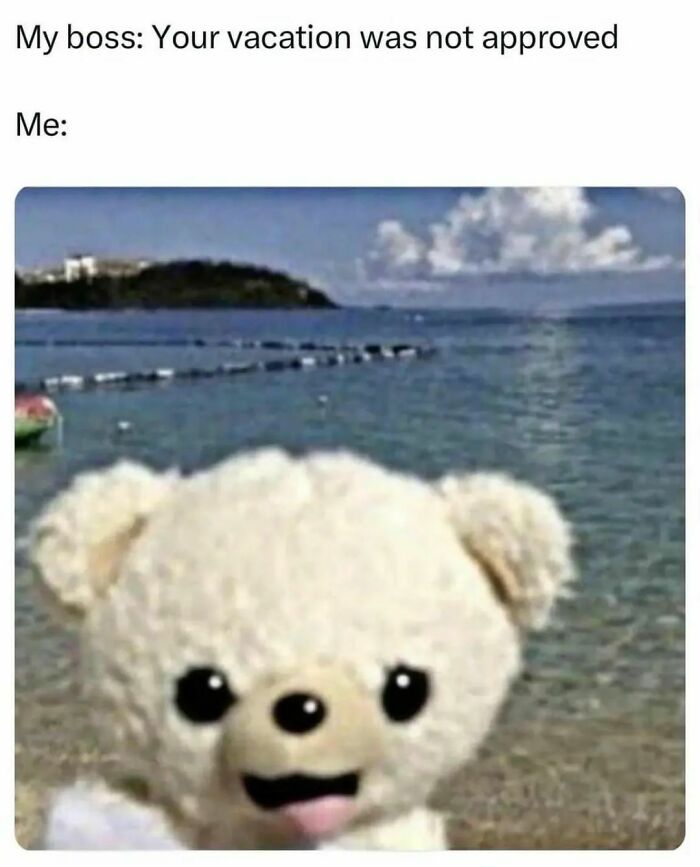 Need A Laugh? These 96 Hilarious Memes Are Here To Save Your Day (New Pics)