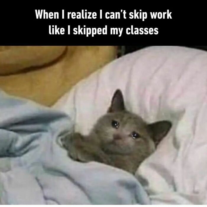 Need A Laugh? These 96 Hilarious Memes Are Here To Save Your Day (New Pics)