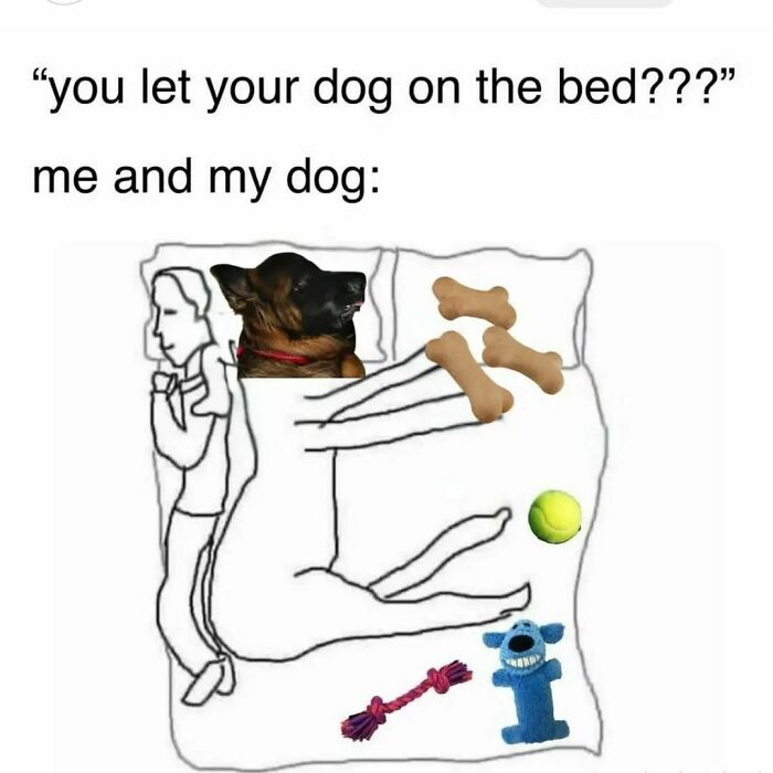 Need A Laugh? These 96 Hilarious Memes Are Here To Save Your Day (New Pics)