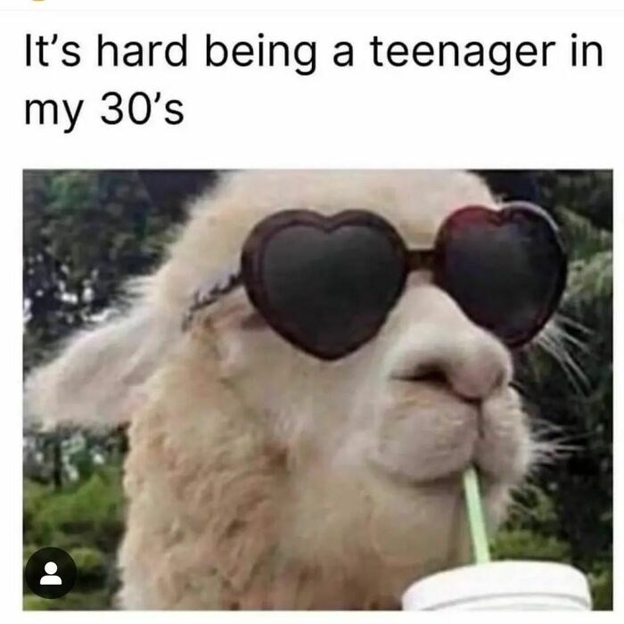 Need A Laugh? These 96 Hilarious Memes Are Here To Save Your Day (New Pics)