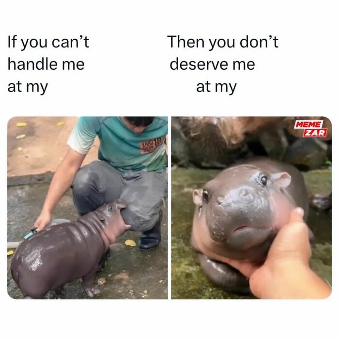 Need A Laugh? These 96 Hilarious Memes Are Here To Save Your Day (New Pics)