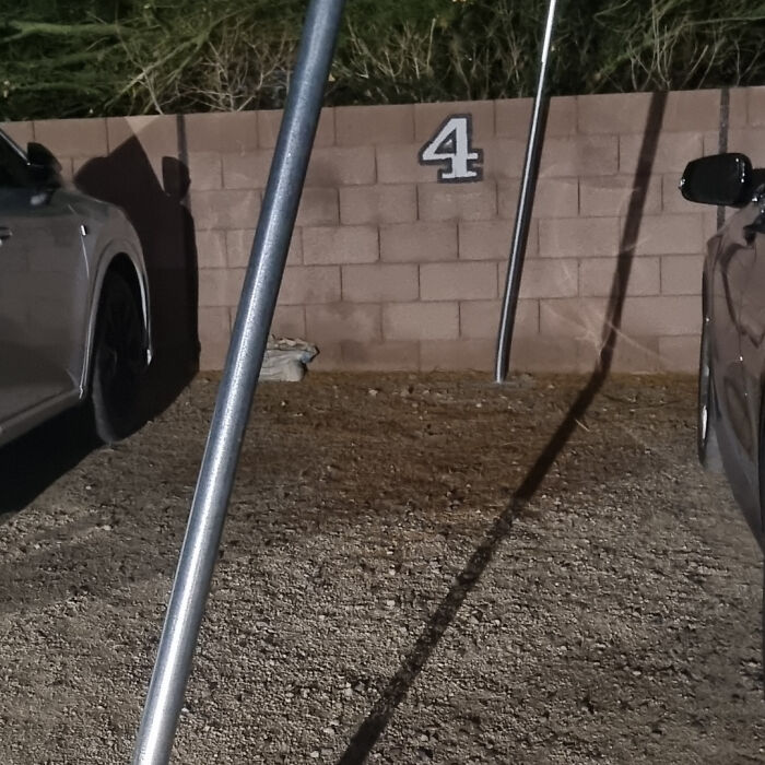 76 Times Landlords Were So Horrible, Renters Wanted To Run Away (New Pics)