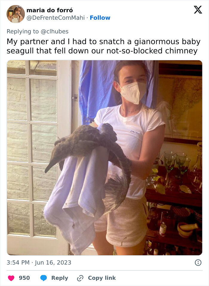 76 Times Landlords Were So Horrible, Renters Wanted To Run Away (New Pics)