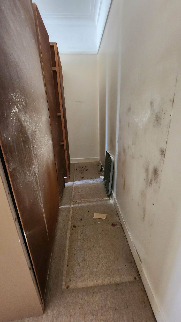 76 Times Landlords Were So Horrible, Renters Wanted To Run Away (New Pics)