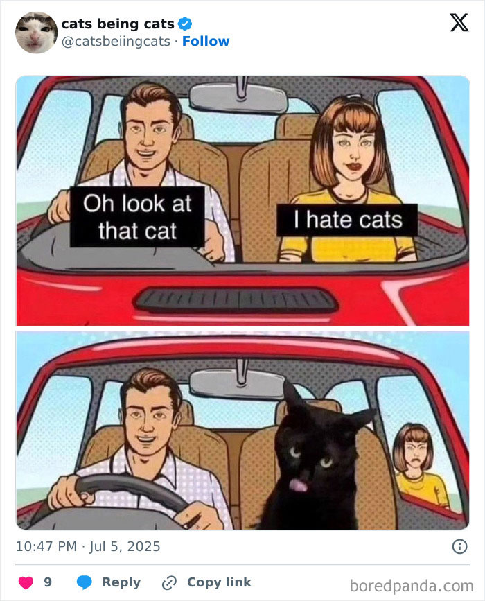 &#8220;Cats Just Being Themselves&#8221;: 129 Hilarious And Adorable Cat Posts