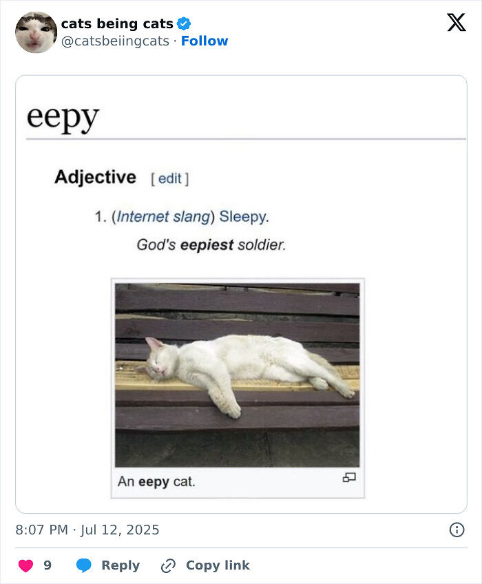&#8220;Cats Just Being Themselves&#8221;: 129 Hilarious And Adorable Cat Posts