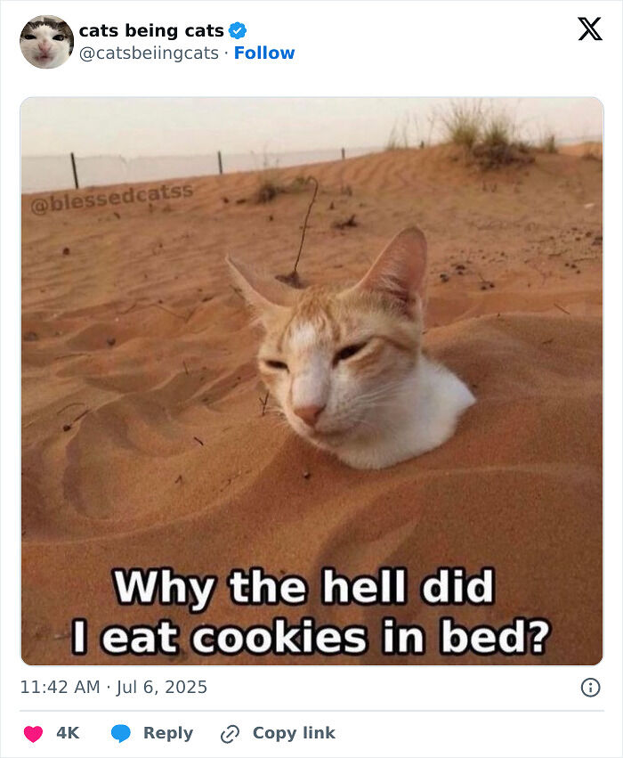 &#8220;Cats Just Being Themselves&#8221;: 129 Hilarious And Adorable Cat Posts