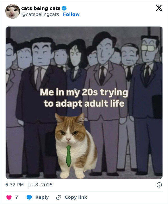 &#8220;Cats Just Being Themselves&#8221;: 129 Hilarious And Adorable Cat Posts