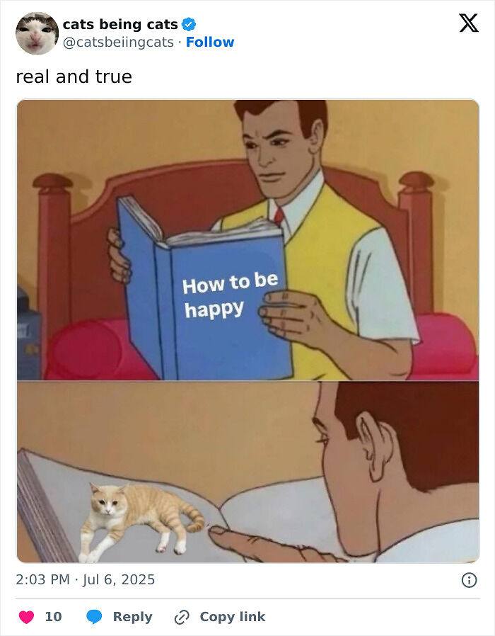 &#8220;Cats Just Being Themselves&#8221;: 129 Hilarious And Adorable Cat Posts