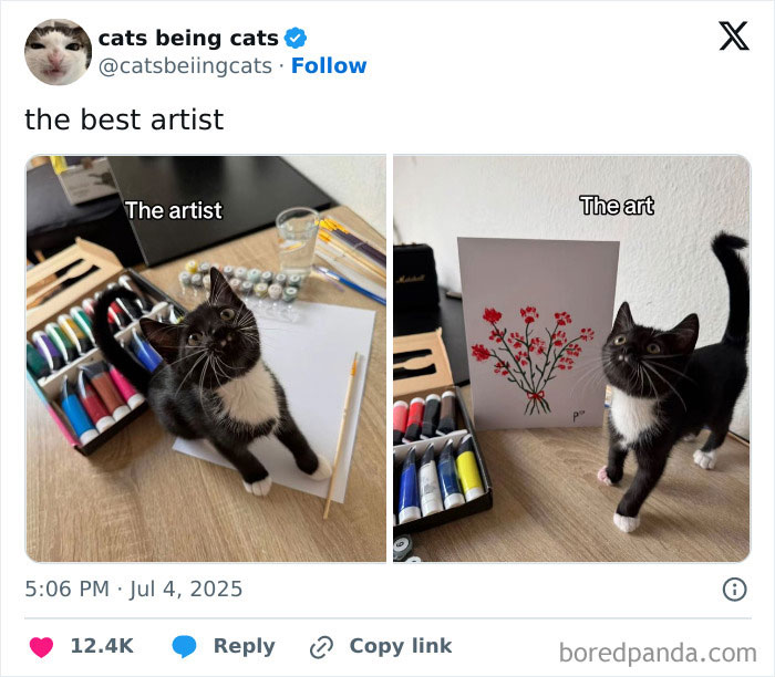 &#8220;Cats Just Being Themselves&#8221;: 129 Hilarious And Adorable Cat Posts