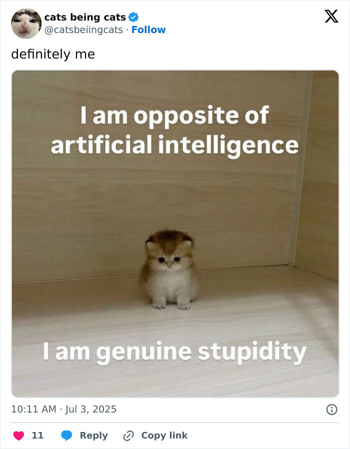 &#8220;Cats Just Being Themselves&#8221;: 129 Hilarious And Adorable Cat Posts