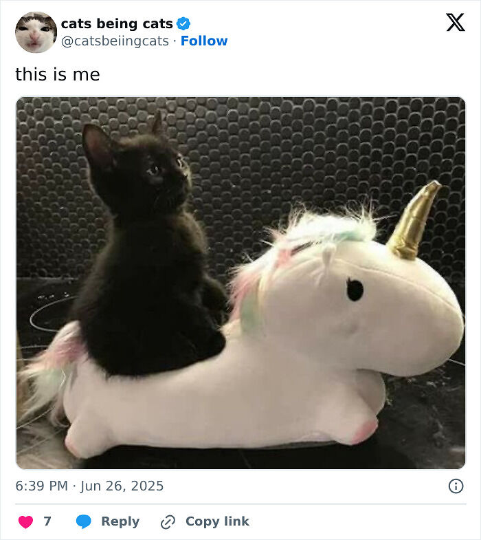 &#8220;Cats Just Being Themselves&#8221;: 129 Hilarious And Adorable Cat Posts