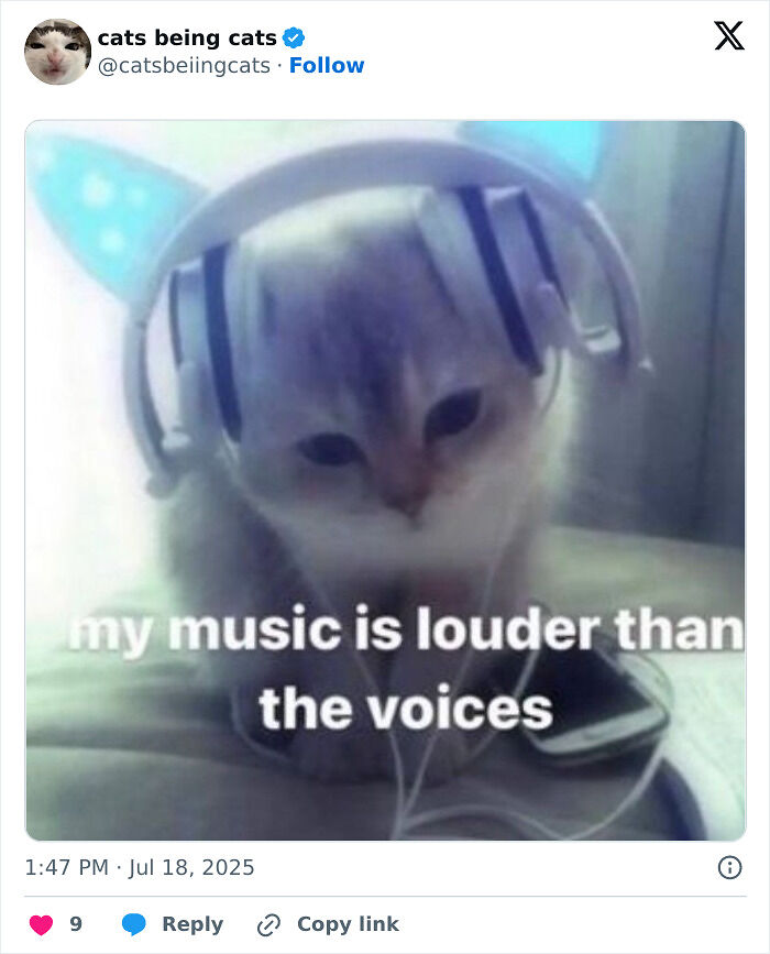 &#8220;Cats Just Being Themselves&#8221;: 129 Hilarious And Adorable Cat Posts