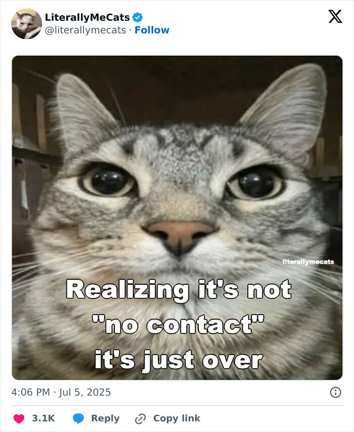 &#8220;Cats Just Being Themselves&#8221;: 129 Hilarious And Adorable Cat Posts