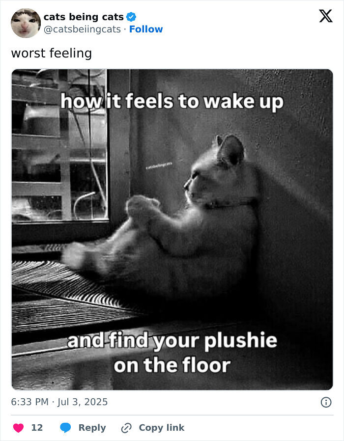 &#8220;Cats Just Being Themselves&#8221;: 129 Hilarious And Adorable Cat Posts