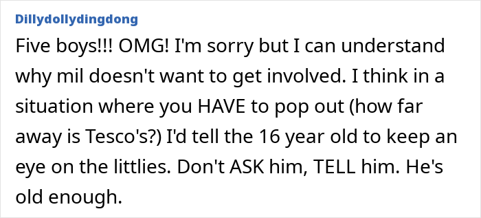 Woman Hurt After MIL Refuses To Take Care Of Her 5 Kids, People Online Say They Would Too