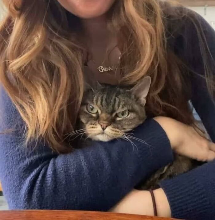 46 Of The Chunkiest Chonks To Ever Grace The Pages Of The Internet