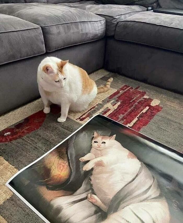 46 Of The Chunkiest Chonks To Ever Grace The Pages Of The Internet