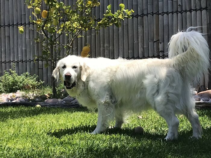 Here Are 20 Of My Dog Pics