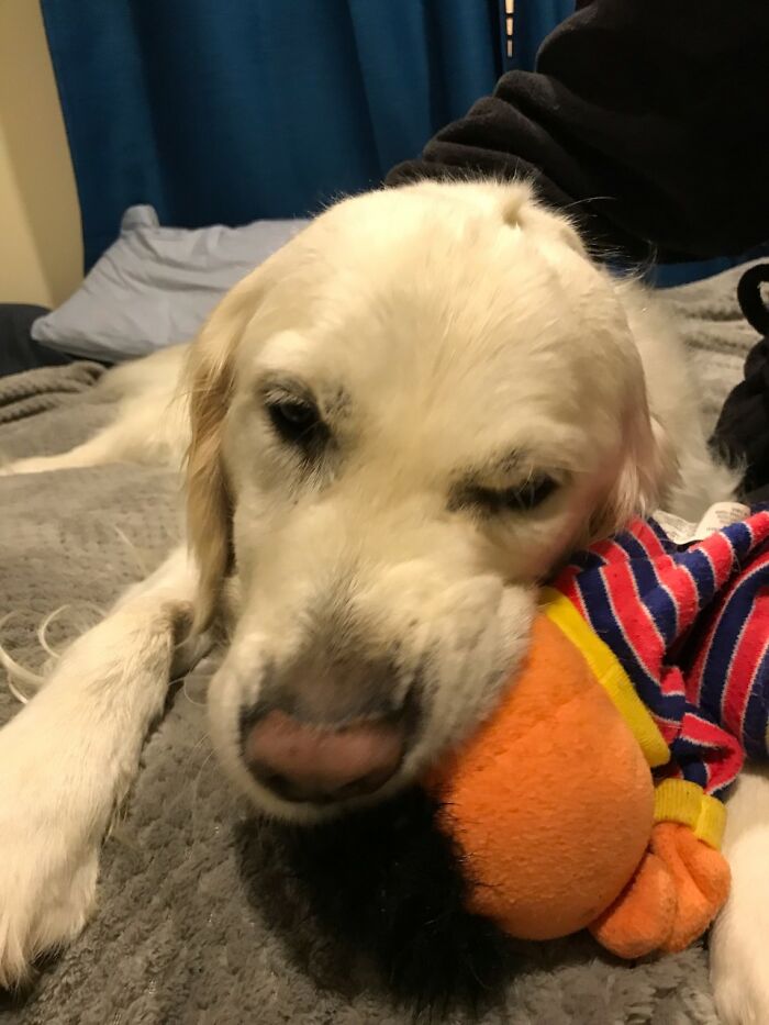 Here Are 20 Of My Dog Pics