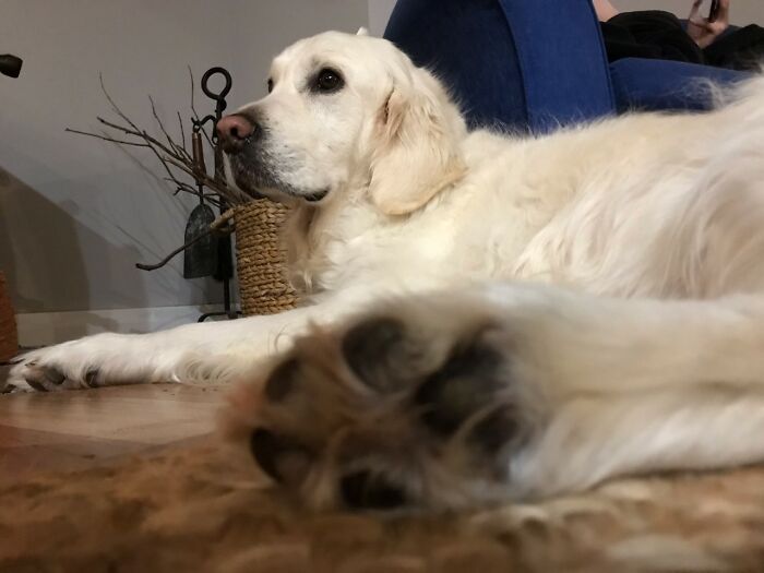 Here Are 20 Of My Dog Pics