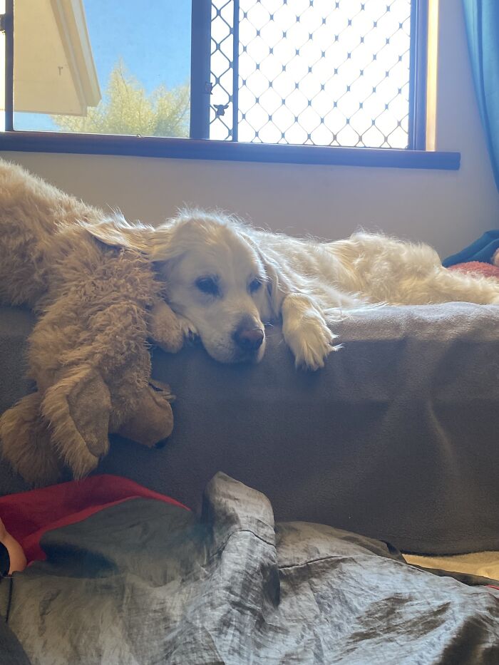 Here Are 20 Of My Dog Pics