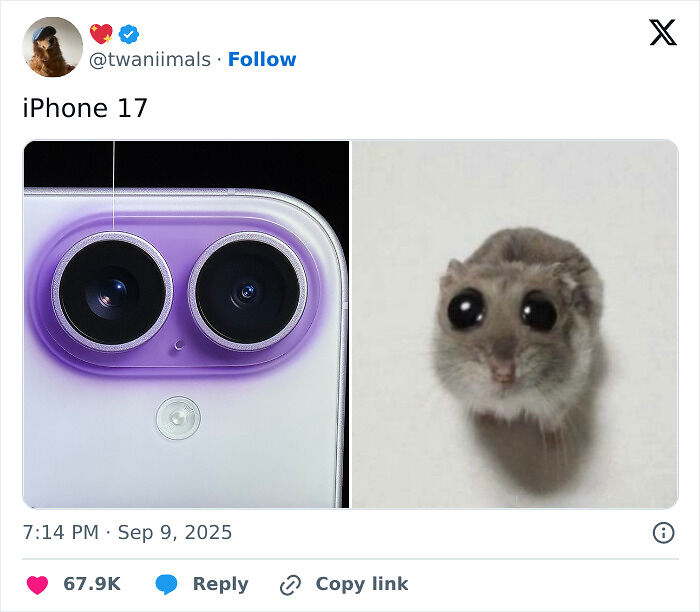 The Memes Are Back Better Than Ever With The Latest iPhone Launch, Here Are 12 Of The Funniest