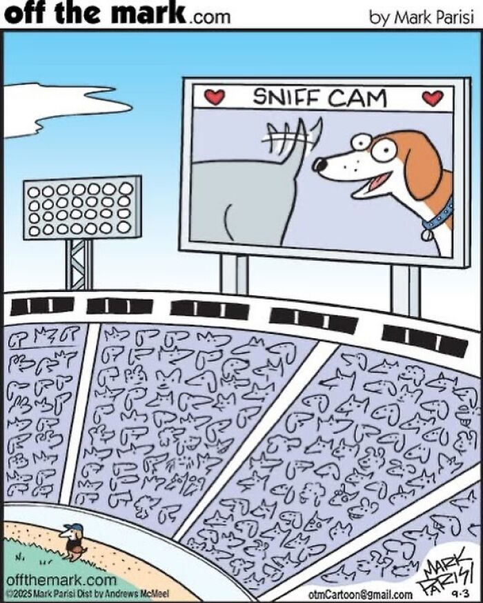 50 Clever And Wholesome Comics By Mark Parisi That Capture Life’s Funniest Moments