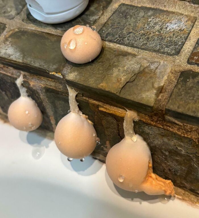 46 Curious Things People Discovered And Had No Idea What They Were (New Pics)