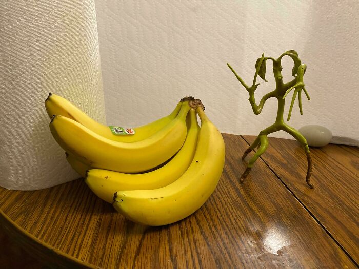 46 Curious Things People Discovered And Had No Idea What They Were (New Pics)