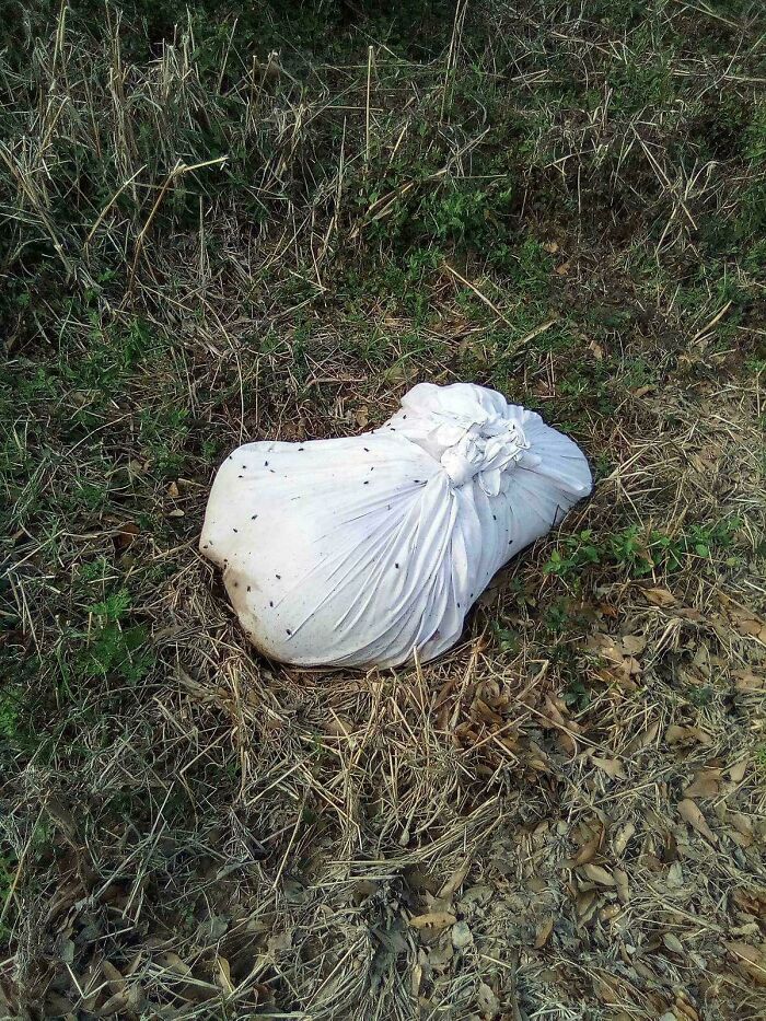 46 Curious Things People Discovered And Had No Idea What They Were (New Pics)