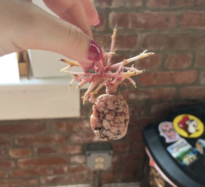 46 Curious Things People Discovered And Had No Idea What They Were (New Pics)
