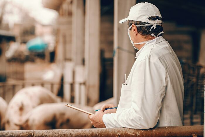 52 Unholy Health Violations In Restaurants That Inspectors Had The Unfortune To Witness
