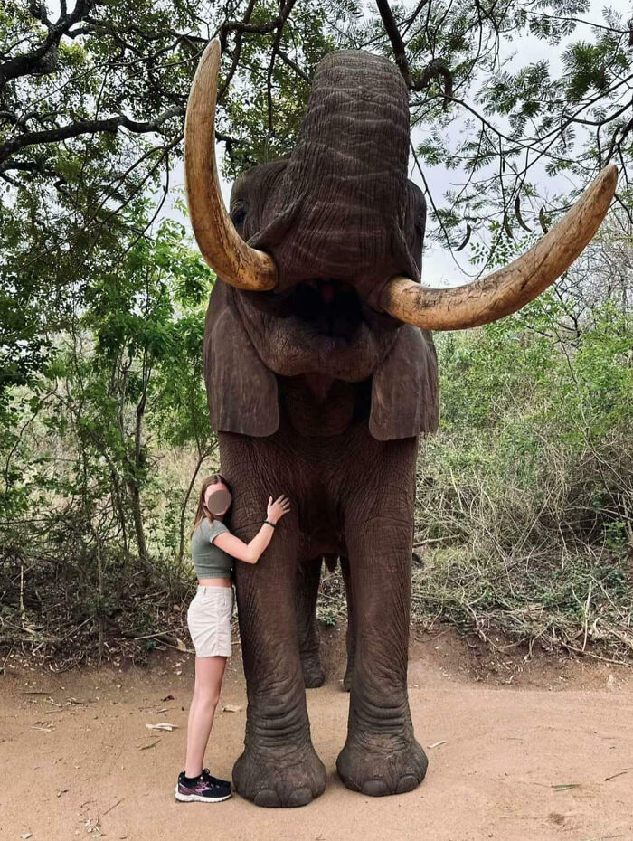 88 Animals So Giant It’s Hard To Believe They Are Real (New Pics)