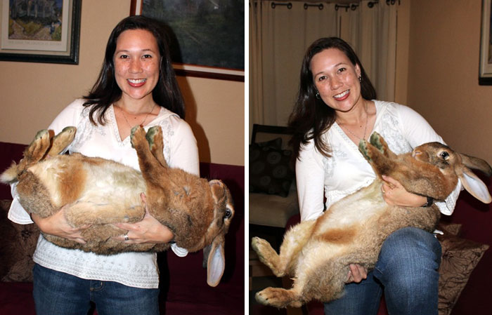 88 Animals So Giant It’s Hard To Believe They Are Real (New Pics)