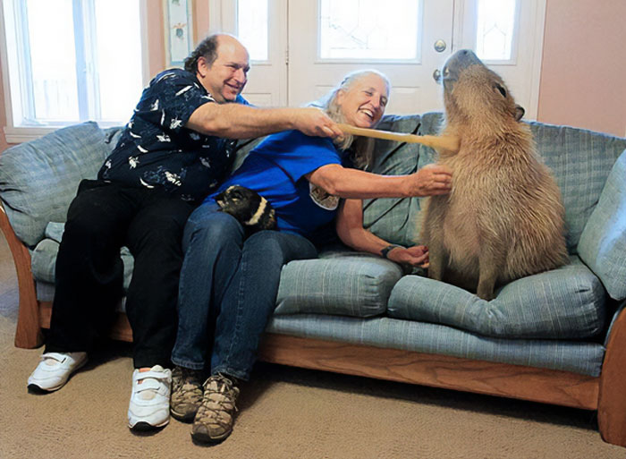 88 Animals So Giant It’s Hard To Believe They Are Real (New Pics)