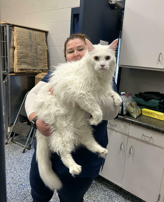 88 Animals So Giant It’s Hard To Believe They Are Real (New Pics)