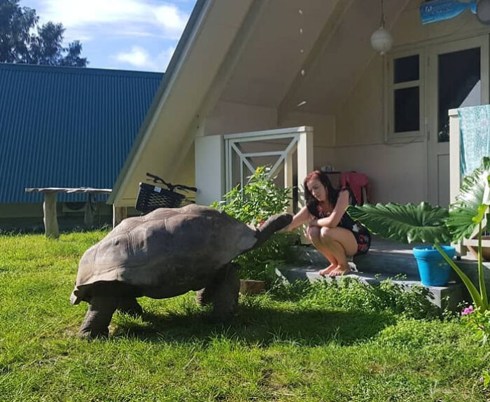 88 Animals So Giant It’s Hard To Believe They Are Real (New Pics)