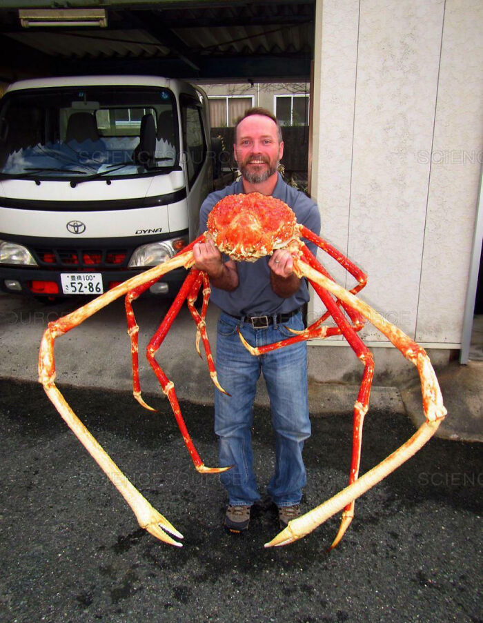 88 Animals So Giant It’s Hard To Believe They Are Real (New Pics)