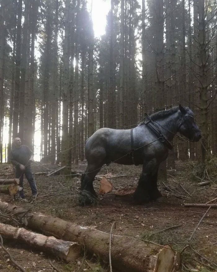 88 Animals So Giant It’s Hard To Believe They Are Real (New Pics)