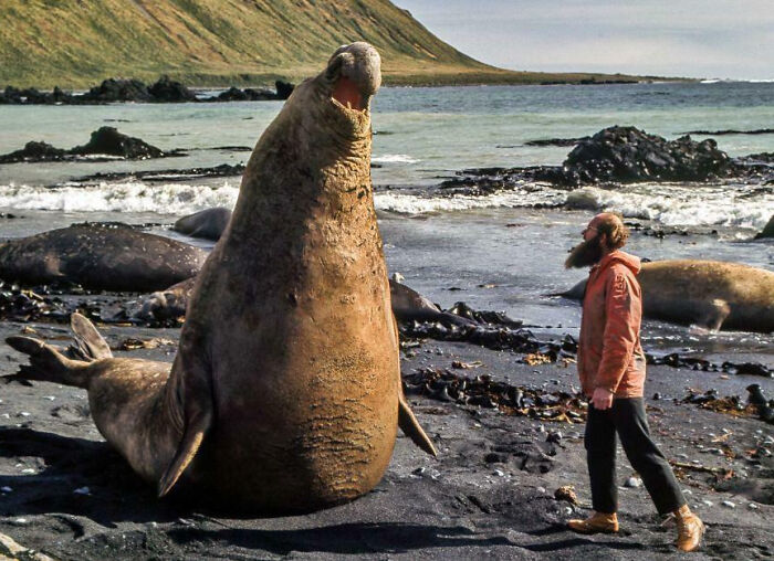 88 Animals So Giant It’s Hard To Believe They Are Real (New Pics)