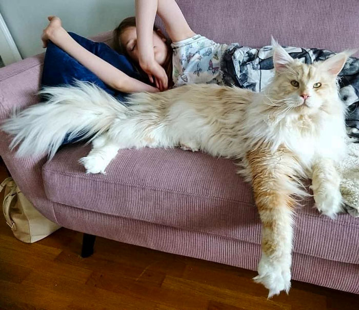 88 Animals So Giant It’s Hard To Believe They Are Real (New Pics)